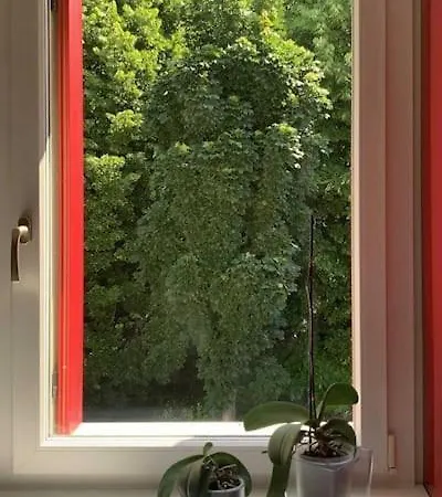 Casa Puccini דירה *